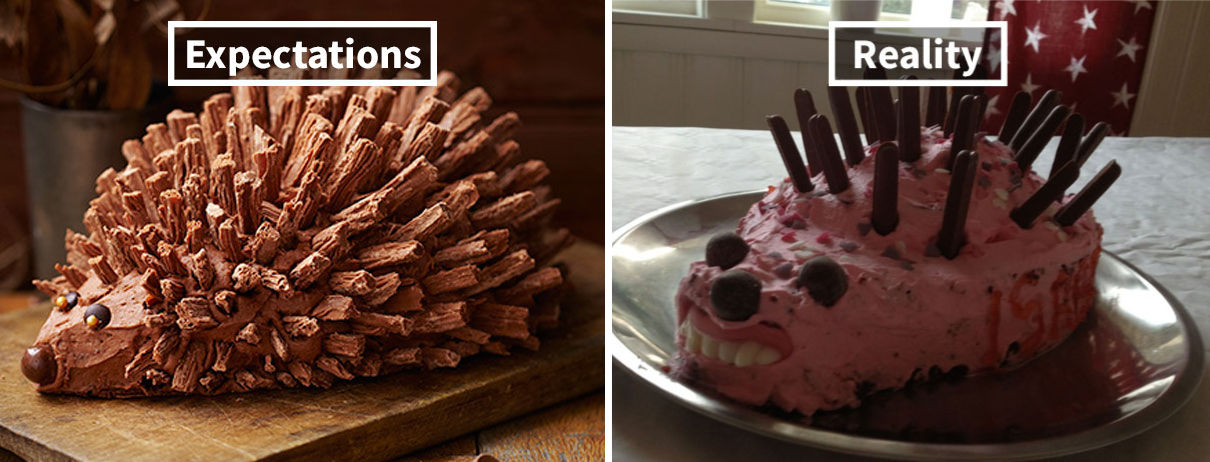 Hedgehog cake: expectations vs. reality.